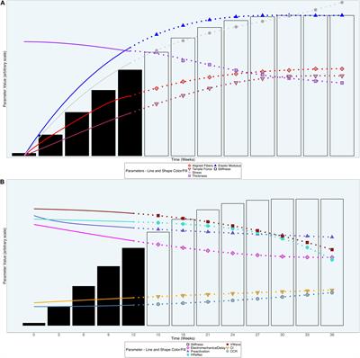 A Perspective on Reversibility of Tendinosis-Induced Multi-Level Adaptations